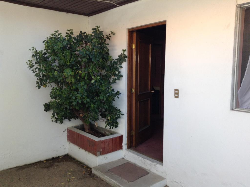Hotel Alicante Chillan Ngoại thất bức ảnh